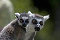 Cjp_2011_08_01_121404 (2).jpg